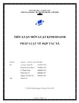 Tiểu luận Môn luật kinh doanh pháp luật về hợp tác xã