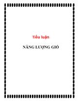 Tiểu luận Năng lượng gió