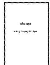 Tiểu luận Năng lượng tái tạo