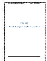 Tiểu luận Phân tích phạm vi ảnh hưởng của thuế