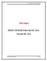 Tiểu luận Phân tích rủi ro quốc gia - Nợ quốc gia