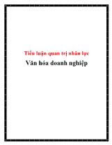 Tiểu luận Quan trị nhân lực Văn hóa doanh nghiệp