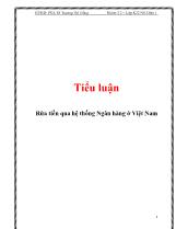 Tiểu luận Rửa tiền qua hệ thống Ngân hàng ở Việt Nam