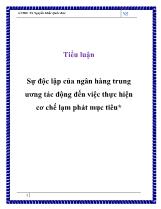 Tiểu luận Sự độc lập của ngân hàng trung ương tác động đến việc thực hiện cơ chế lạm phát mục tiêu