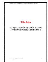 Tiểu luận Sử dụng nguồn lực đòn bẩy để mở rộng lợi thế cạnh tranh