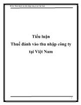 Tiểu luận Thuế đánh vào thu nhập công ty tại Việt Nam