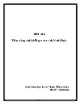 Tiểu luận Tiềm năng sinh khối gạo của tỉnh Ninh Bình
