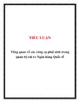Tiểu luận Tổng quan về các công cụ phái sinh trong quản trị rủi ro ngân hàng quốc tế