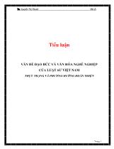 Tiểu luận Vấn đề đạo đức và văn hóa nghề nghiệp của luật sư Việt Nam thực trạng và phương hướng hoàn thiện