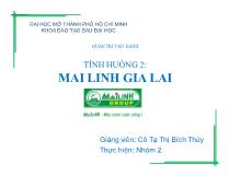 Tình hình hoạt động tại Mai linh Gia Lai