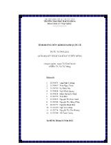 Tình huống môn kinh doanh quốc tế nước tương lisa an toàn sức khỏe và khẩu vị tiêu dùng