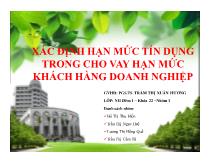 Xác định hạn mức tín dụng trong cho vay hạn mức khách hàng doanh nghiệp
