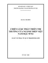 Chiến lược phát triển thị trường của ngành thép Việt Nam hậu WTO