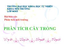 Báo cáo Bài phân tích môi trường Phân tích cây trồng
