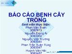 Báo cáo Bệnh cây trồng