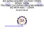 Báo cáo : Quyết định toàn dân tổng khởi nghĩa tháng tám 1945