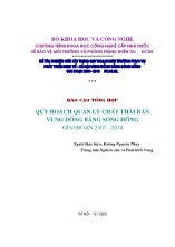 Báo cáo Tổng hợp Quy hoạch quản lý chất thải rắn vùng Đồng bằng Sông Hồng giai đoạn 2001 - 2010