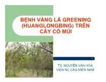 Bệnh vàng lá greening (huanglongbing) trên cây có múi