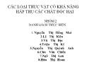 Các loại thực vật có khả năng hấp thụ các chất độc hại