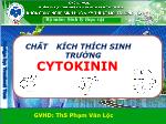 Chất kích thích sinh trưởng cytokinin