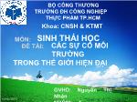 Đề tài : Các sự cố môi trường trong thế giới hiện đại