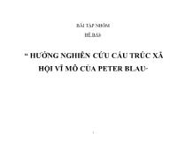 Đề tài Hướng nghiên cứu cấu trúc xã hội vĩ mô của Peter Blau