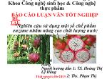 Đề tài Nghiên cứu sử dụng một số chế phẩm enzyme nhằm nâng cao chất lượng nước thanh long