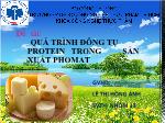 Đề tài : Quá trình đông tụ protein trong sản xuất phomat