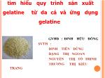 Đề tài Tìm hiểu quy trình sản xuất gelatine từ da cá và ứng dụng gelatine