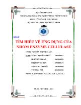 Đề tài Tìm hiểu về ứng dụng của nhóm enzyme cellulase
