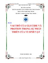 Đề tài Vai trò của glucide và protein trong sự phát triển của vi sinh vật
