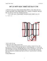 Đồ án Môn học thiết kế dao CTM
