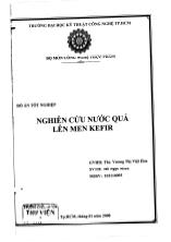 Đồ án Nghiên cứu nước quả lên men KEFIR