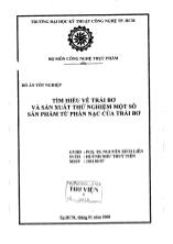 Đồ án Tìm hiểu về trái bơ và sản xuất thử nghiệm một số sản phẩm từ phần nạc của trái bơ
