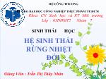 Hệ sinh thái rừng nhiệt đới