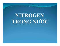 Nitrogen trong nước