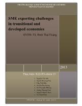 SME exporting challenges in transitional and developed economies