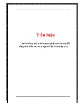 Tiểu luận Ảnh hưởng nhân sinh quan phật giáo trong đời sống tinh thần của con người Việt Nam hiện nay