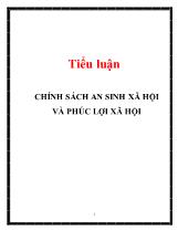 Tiểu luận Chính sách an sinh xã hội và phúc lợi xã hội
