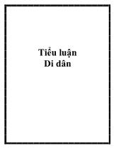 Tiểu luận Di dân