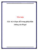 Tiểu luận Giá trị và hạn chế trong phép biện chứng của Hegel