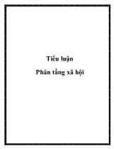 Tiểu luận Phân tầng xã hội