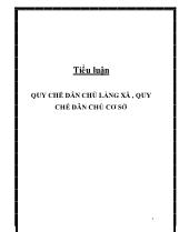 Tiểu luận Quy chế dân chủ làng xã , quy chế dân chủ cơ sở