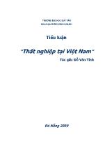 Tiểu luận Thất nghiệp tại Việt Nam