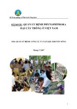 052/04VIE: quản lý bệnh phytophthora hại cây trồng ở Việt Nam