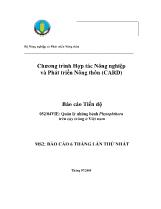 052/04VIE: Quản lý những bệnh Phytophthora trên cây trồng ở Việt Nam
