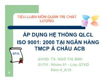 Áp dụng hệ thống quản lý chất lượng ISO 9001: 2000 tại ngân hàng TMCP Á Châu ACB