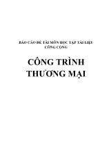Báo cáo Đề tài môn học tập tài liệu công cộng công trình thương mại