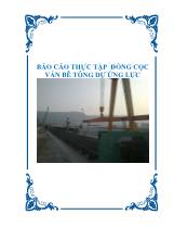 Báo cáo Thực tập đóng cọc ván bê tông dự ứng lực