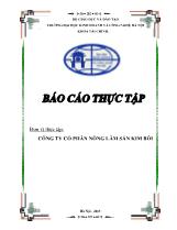 Báo cáo thực tập tại Công ty cổ phần Nông Lâm Sản Kim Bôi